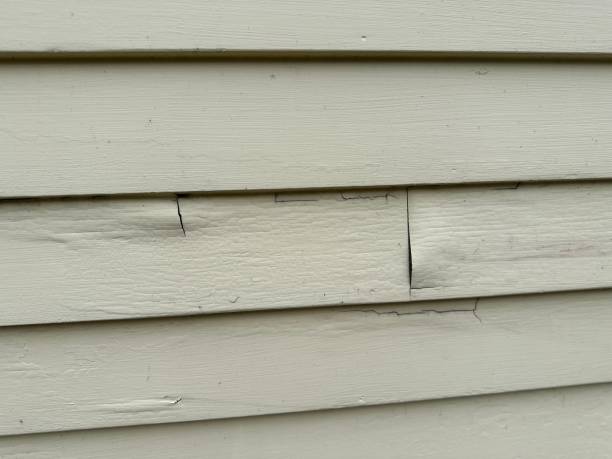 Best Stucco Siding  in Dale, IN